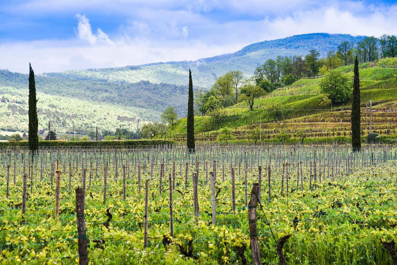 Venica & Venica Wine Resort Dolegna del Collio Bagian luar foto